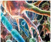 Γιατί δεν πονάμε μετά από θεραπεία με laser;